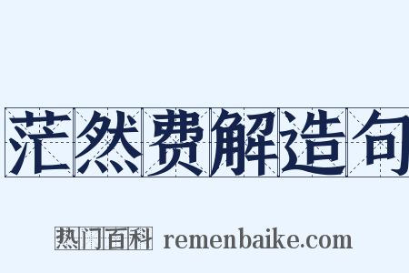 茫然费解造句是什么意思的图片